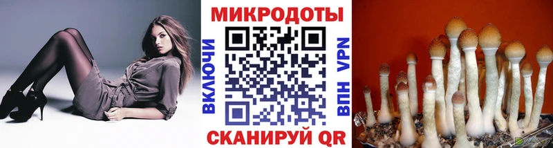 Галлюциногенные грибы ЛСД  Спас-Клепики 